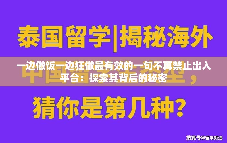 一边做饭一边狂做最有效的一句不再禁止出入平台：探索其背后的秘密