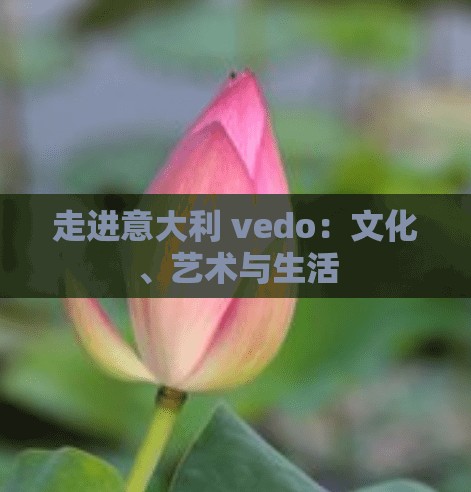 走进意大利 vedo：文化、艺术与生活