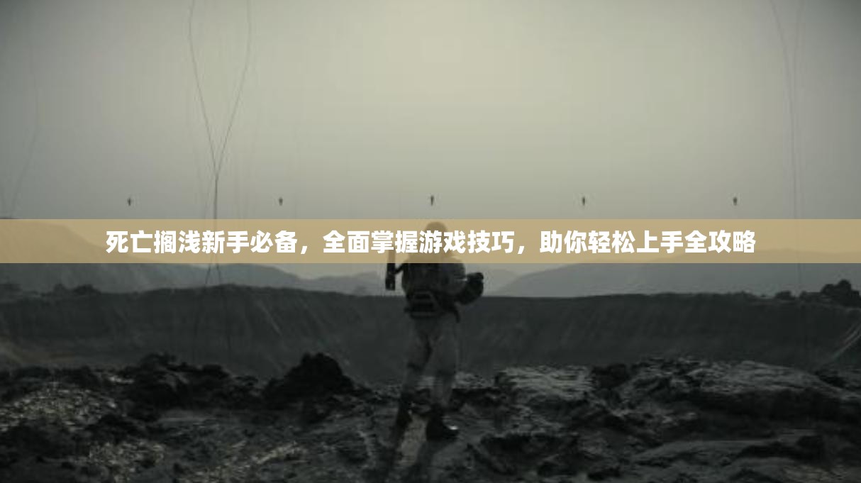 死亡搁浅新手必备，全面掌握游戏技巧，助你轻松上手全攻略