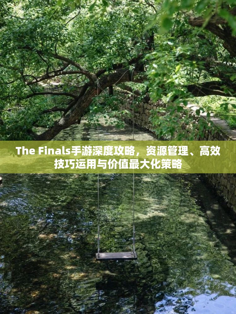 The Finals手游深度攻略，资源管理、高效技巧运用与价值最大化策略