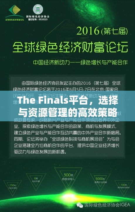 The Finals平台，选择与资源管理的高效策略与实践探索