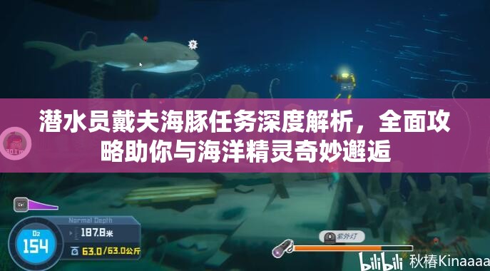 潜水员戴夫海豚任务深度解析，全面攻略助你与海洋精灵奇妙邂逅