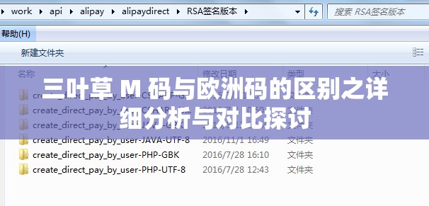三叶草 M 码与欧洲码的区别之详细分析与对比探讨