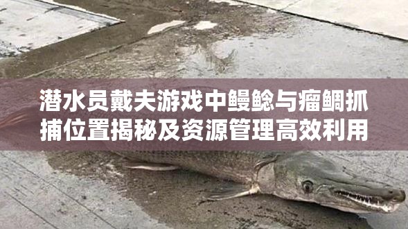 潜水员戴夫游戏中鳗鲶与瘤鲷抓捕位置揭秘及资源管理高效利用策略解析