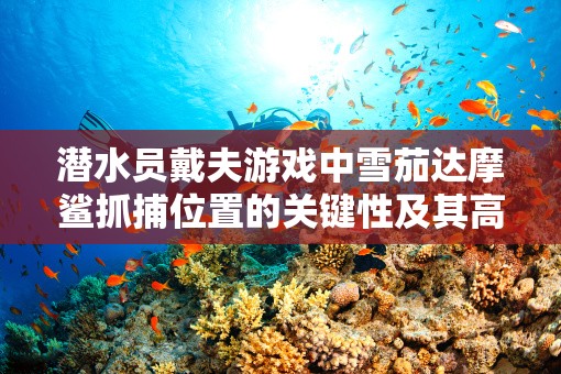 潜水员戴夫游戏中雪茄达摩鲨抓捕位置的关键性及其高效管理技巧