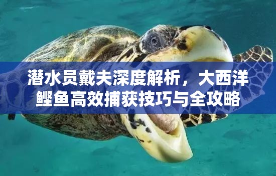 潜水员戴夫深度解析，大西洋鲣鱼高效捕获技巧与全攻略