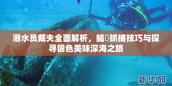 潜水员戴夫全面解析，鲳鲹抓捕技巧与探寻银色美味深海之旅