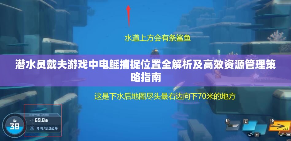 潜水员戴夫游戏中电鳐捕捉位置全解析及高效资源管理策略指南