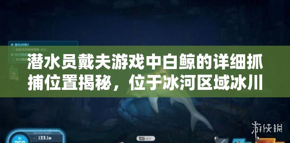 潜水员戴夫游戏中白鲸的详细抓捕位置揭秘，位于冰河区域冰川洞窟内