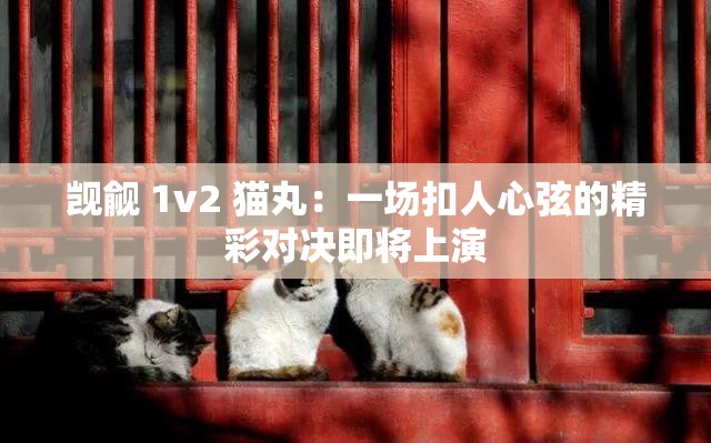 觊觎 1v2 猫丸：一场扣人心弦的精彩对决即将上演