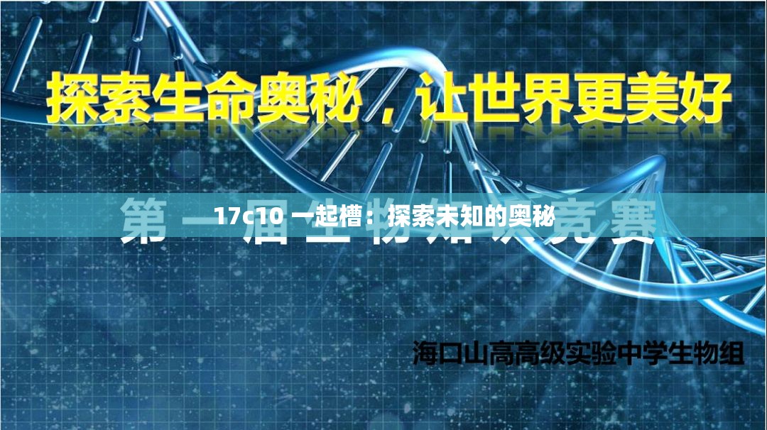 17c10 一起槽：探索未知的奥秘