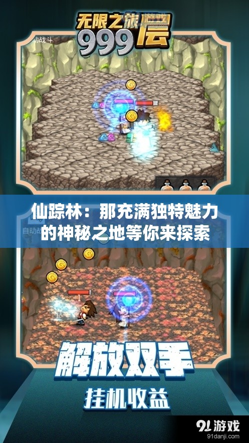 仙踪林：那充满独特魅力的神秘之地等你来探索