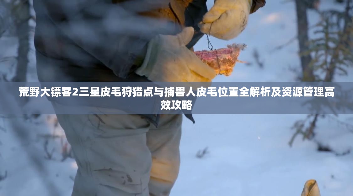 荒野大镖客2三星皮毛狩猎点与捕兽人皮毛位置全解析及资源管理高效攻略