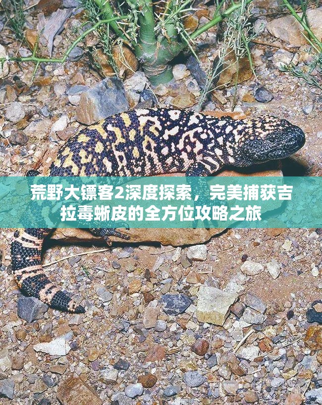荒野大镖客2深度探索，完美捕获吉拉毒蜥皮的全方位攻略之旅