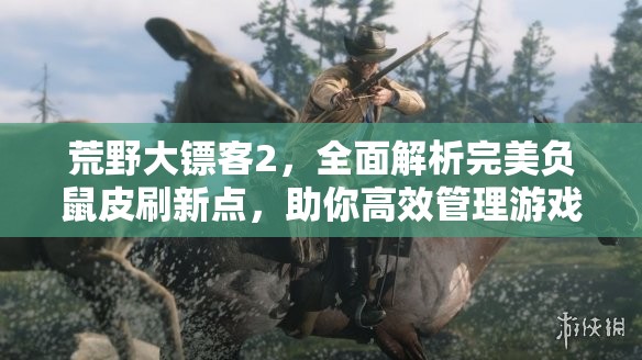 荒野大镖客2，全面解析完美负鼠皮刷新点，助你高效管理游戏资源指南
