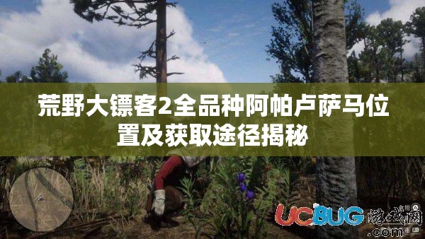 荒野大镖客2全品种阿帕卢萨马位置及获取途径揭秘
