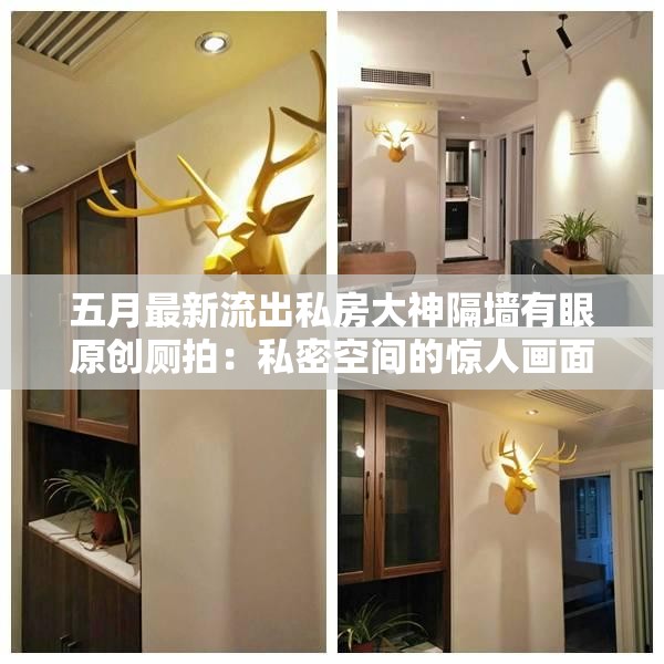五月最新流出私房大神隔墙有眼原创厕拍：私密空间的惊人画面