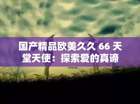 国产精品欧美久久 66 天堂天使：探索爱的真谛