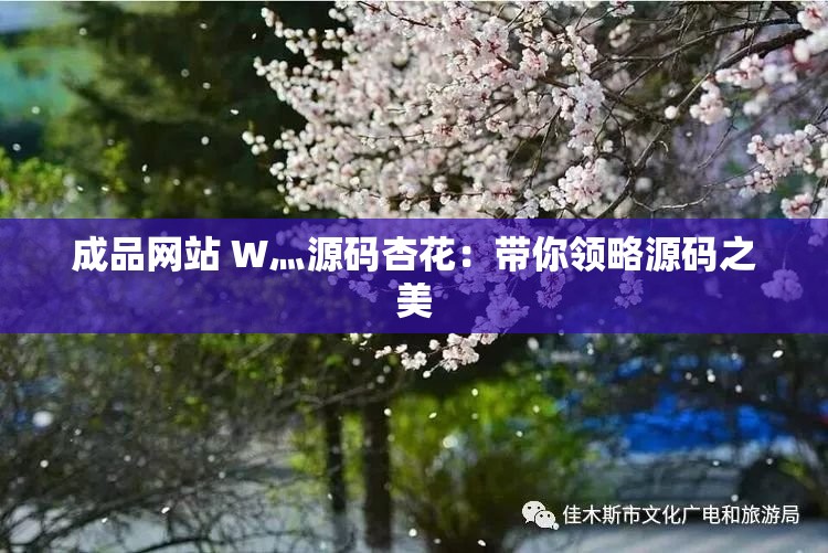 成品网站 W灬源码杏花：带你领略源码之美