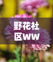 野花社区WWW三：提供多元化交流与分享的平台