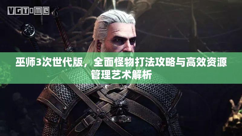 巫师3次世代版，全面怪物打法攻略与高效资源管理艺术解析