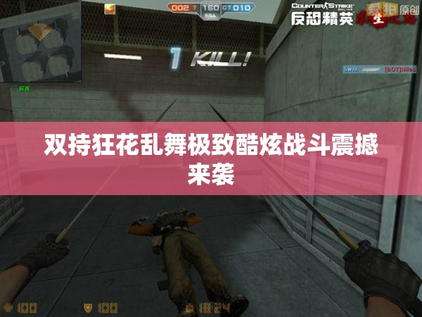 双持狂花乱舞极致酷炫战斗震撼来袭