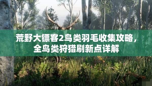 荒野大镖客2鸟类羽毛收集攻略，全鸟类狩猎刷新点详解