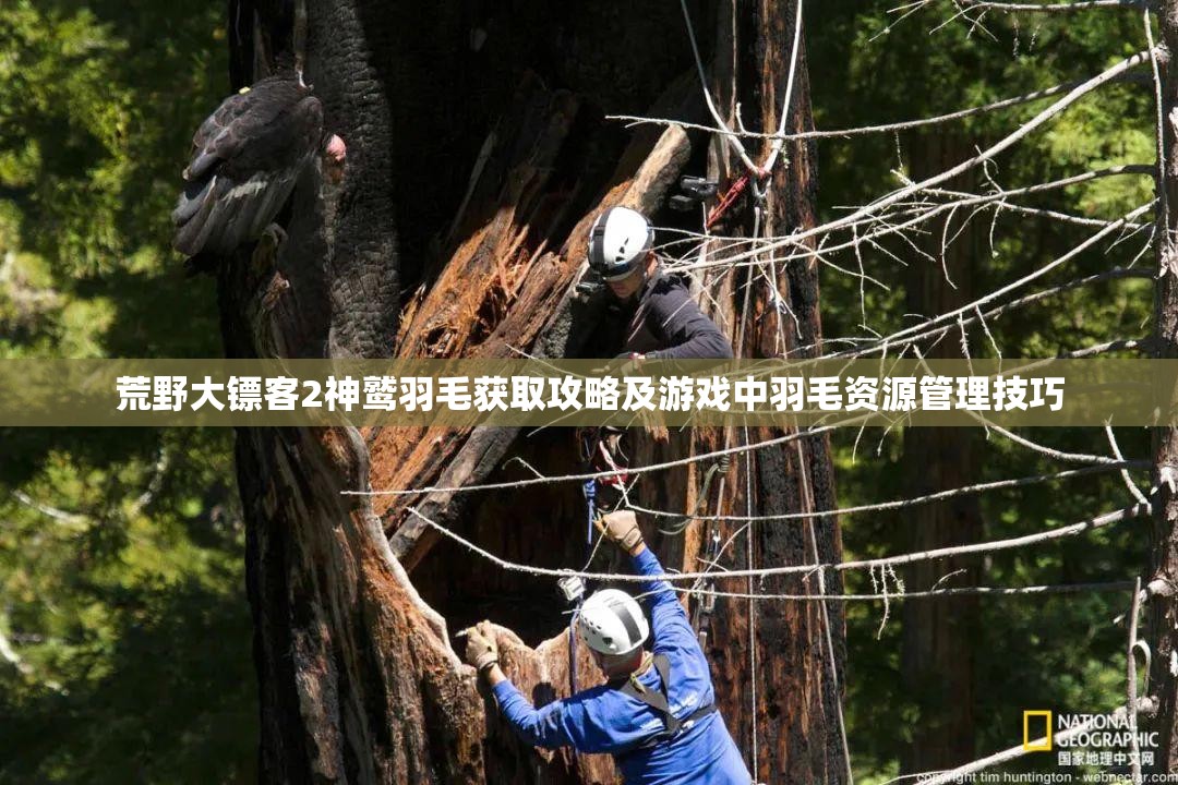 荒野大镖客2神鹫羽毛获取攻略及游戏中羽毛资源管理技巧