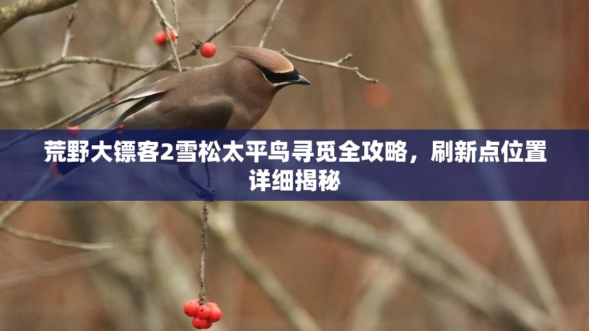 荒野大镖客2雪松太平鸟寻觅全攻略，刷新点位置详细揭秘