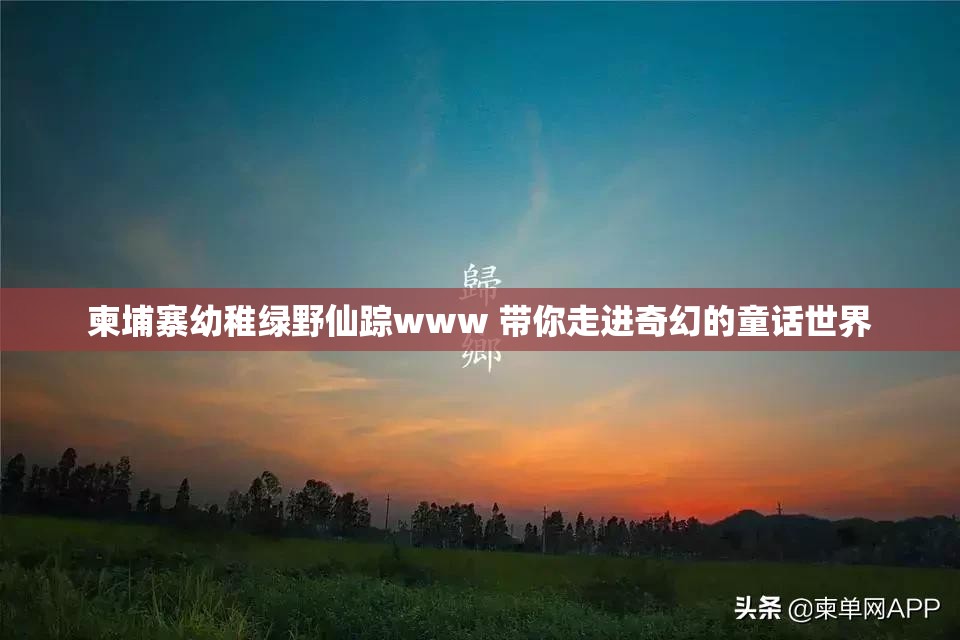 柬埔寨幼稚绿野仙踪www 带你走进奇幻的童话世界