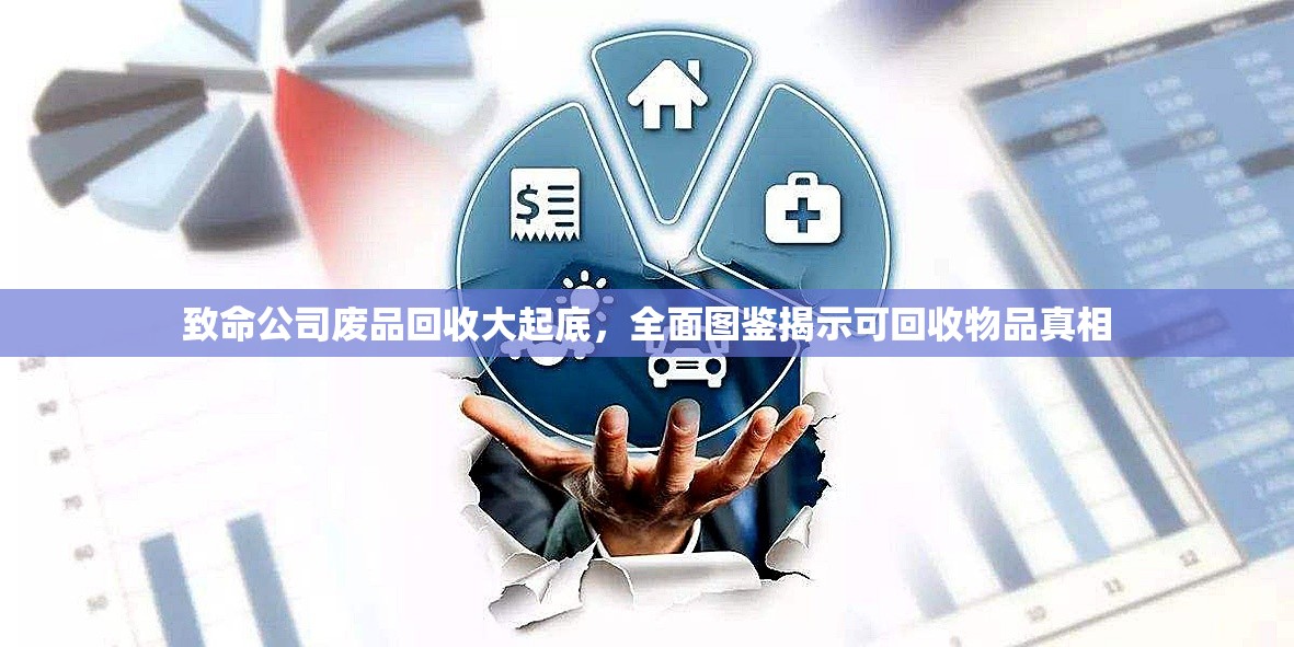 致命公司废品回收大起底，全面图鉴揭示可回收物品真相