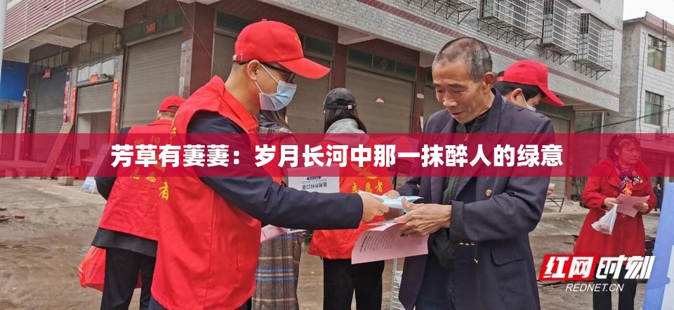 芳草有萋萋：岁月长河中那一抹醉人的绿意