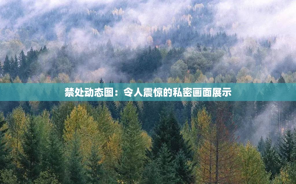 禁处动态图：令人震惊的私密画面展示