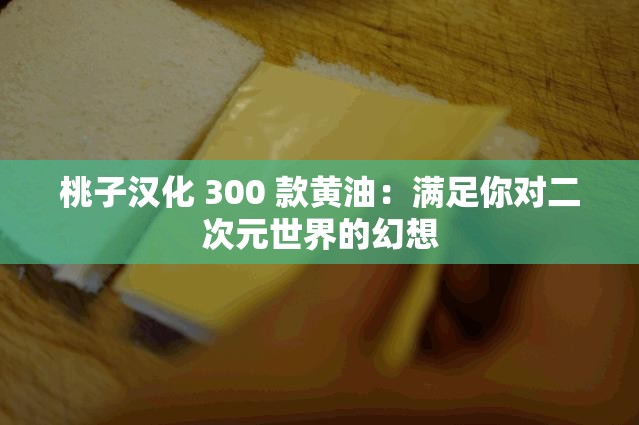 桃子汉化 300 款黄油：满足你对二次元世界的幻想