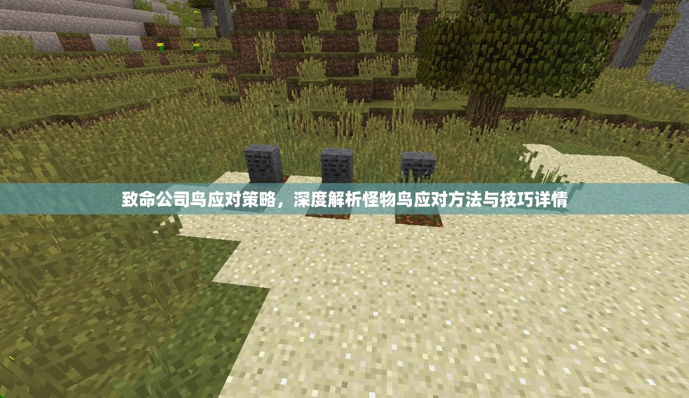 致命公司鸟应对策略，深度解析怪物鸟应对方法与技巧详情