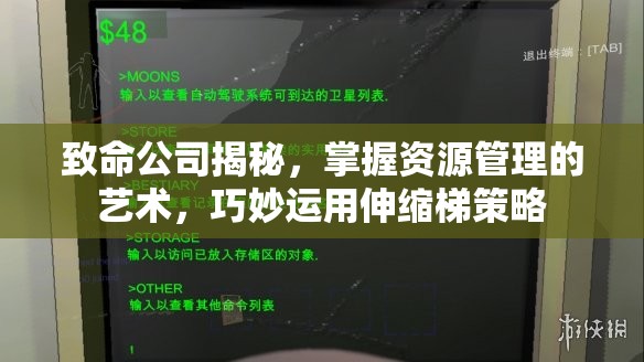 致命公司揭秘，掌握资源管理的艺术，巧妙运用伸缩梯策略