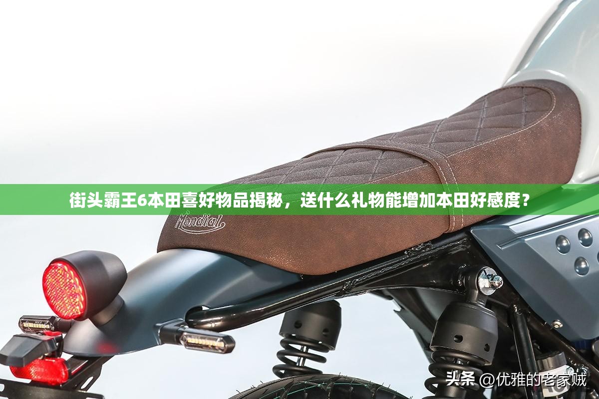 街头霸王6本田喜好物品揭秘，送什么礼物能增加本田好感度？