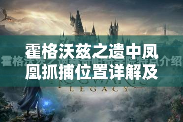 霍格沃兹之遗中凤凰抓捕位置详解及高效策略与资源管理重要性