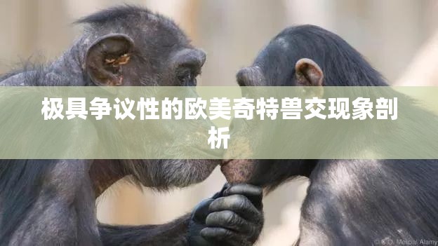 极具争议性的欧美奇特兽交现象剖析