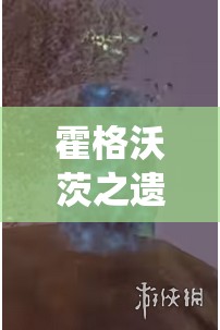 霍格沃茨之遗，全面解析梅林萤火虫柱解谜技巧与策略