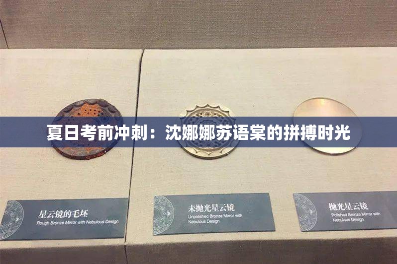 夏日考前冲刺：沈娜娜苏语棠的拼搏时光