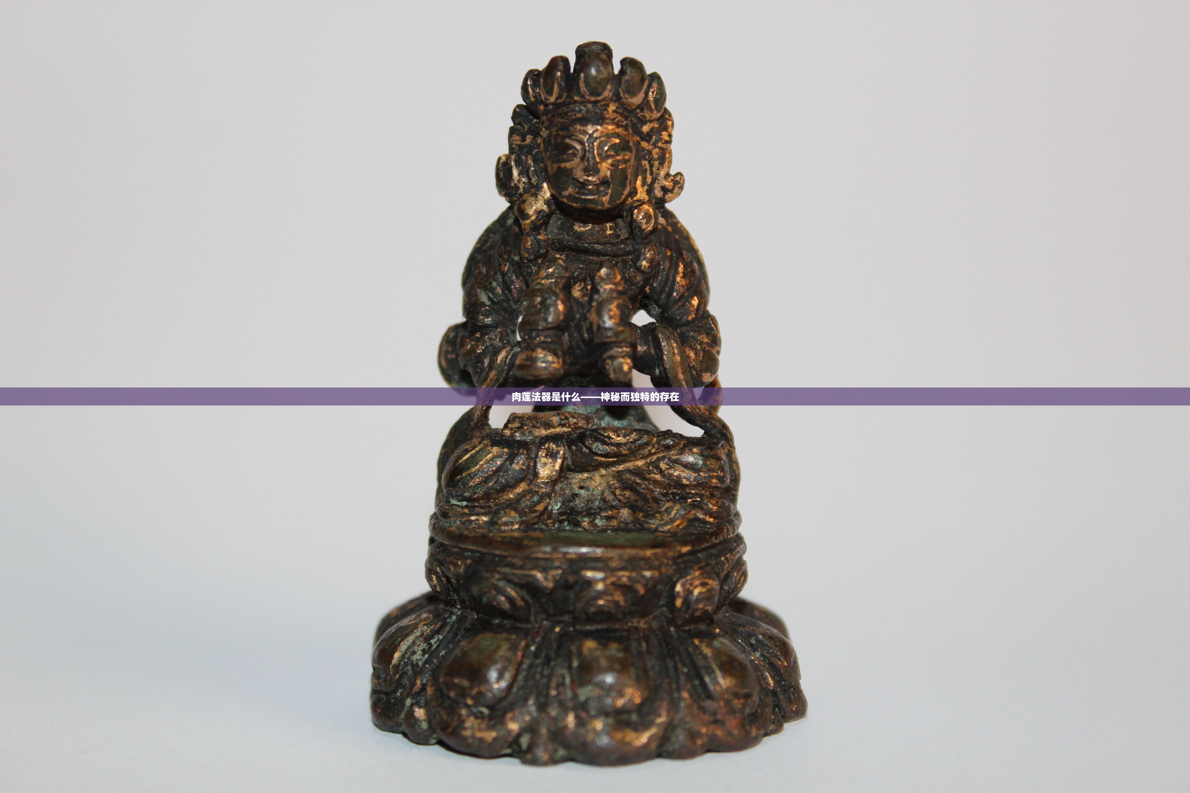 肉莲法器是什么——神秘而独特的存在