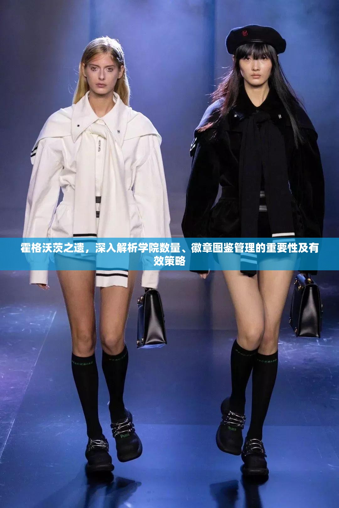 霍格沃茨之遗，深入解析学院数量、徽章图鉴管理的重要性及有效策略