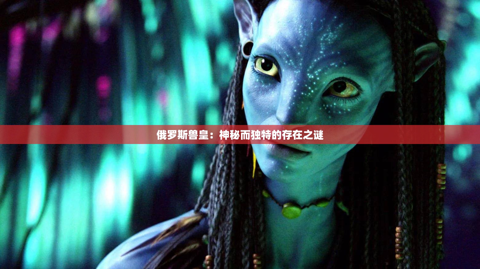 俄罗斯兽皇：神秘而独特的存在之谜