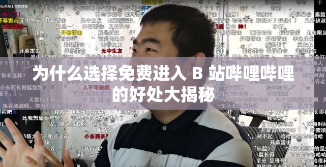 为什么选择免费进入 B 站哔哩哔哩的好处大揭秘