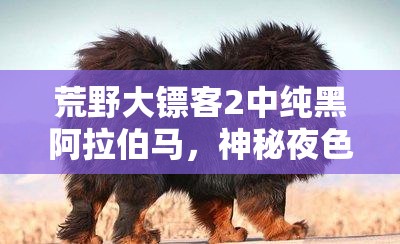 荒野大镖客2中纯黑阿拉伯马，神秘夜色下驰骋的传奇之魂