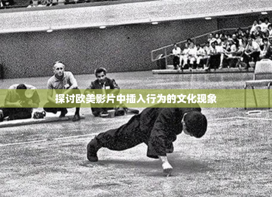探讨欧美影片中插入行为的文化现象