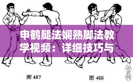 申鹤腿法娴熟脚法教学视频：详细技巧与实战运用解析