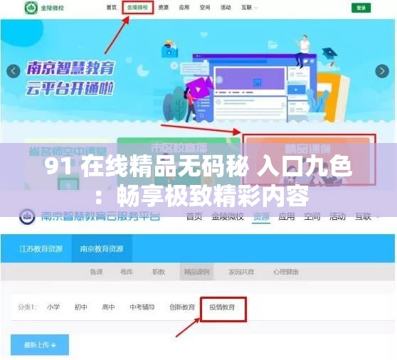 91 在线精品无码秘 入口九色：畅享极致精彩内容