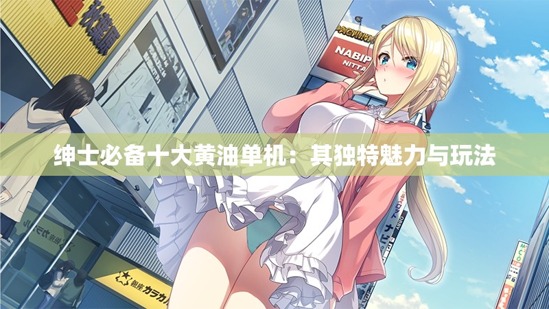 绅士必备十大黄油单机：其独特魅力与玩法